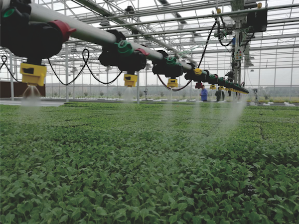 蕭山農(nóng)科所現(xiàn)代農(nóng)業(yè)示范基地.png 蕭山農(nóng)科所現(xiàn)代農(nóng)業(yè)示范基地.png